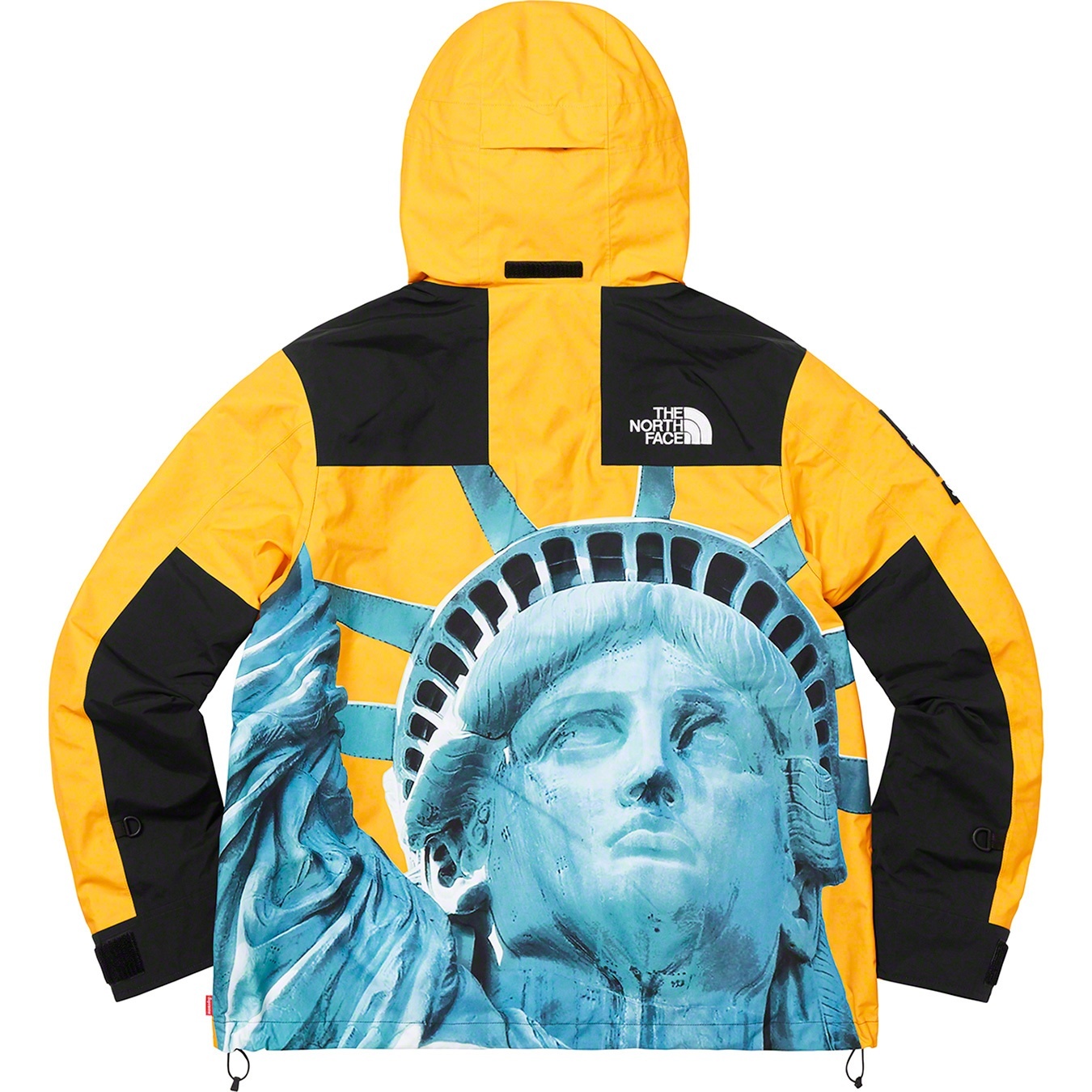 Supreme®/The North Face® Statue of Liberty Mountain Jacket view 17